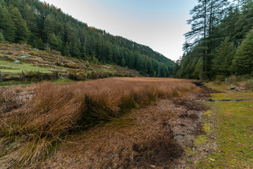 Fototapeta na wymiar Pundrik rishi lake - Photo of Field surrounded by deodar tree in mountains