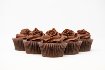 Chocolate Cupcakes 