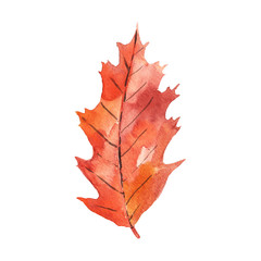 Watercolor fall leaf
