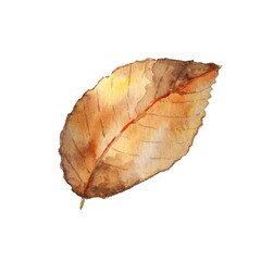 Watercolor fall leaf