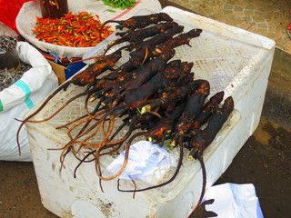 Ratas para comer en tomohon