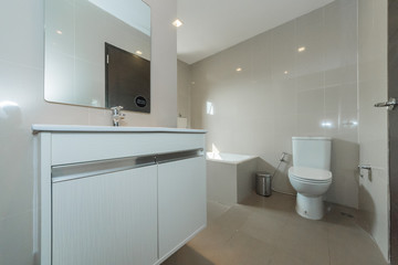Fototapeta na wymiar bathroom with a beautiful interior .