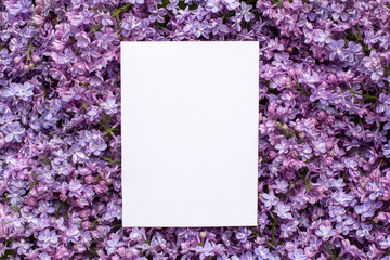 Postcard with fresh splendid lilac flowers and empty tag for your text  , spring and summer blossom background.