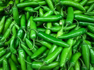Serrano chili pepper