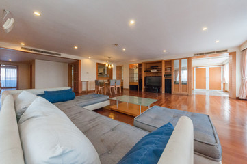 Beautiful and large living room interior