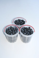 Heidelbeeren im Eimer