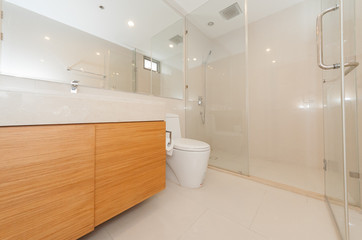 White toilet bowl