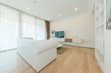 Modern living room interior