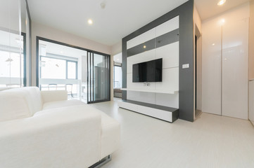 Bright living room with sofa.