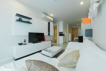 Fototapeta na wymiar Luxury Modern Living Room