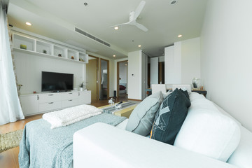 Luxury Modern Living Room
