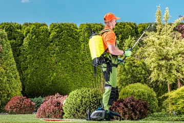 Plants Insecticide Work