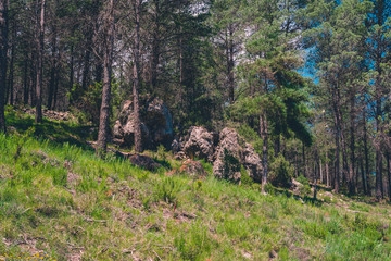 Spanish scenery,hills and blue sky. Mediterranean landscape, woods and mountains. Pines.