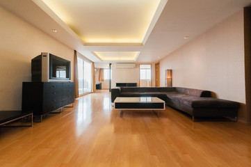 living room with a beautiful interior.