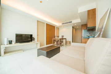 beautiful living room with white sofa