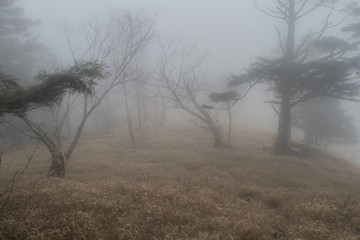 霞む尾根