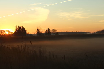 Obraz premium Foggy Meadow Morning