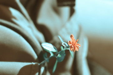 A backpack hangs on the shoulder, from which a red spring flower sticks out.