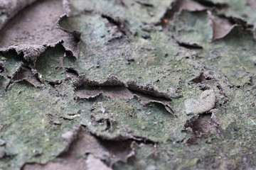 cracks of dry soil texture background