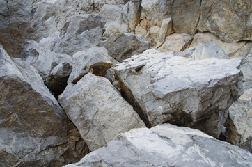 Texture background of wild stones close up