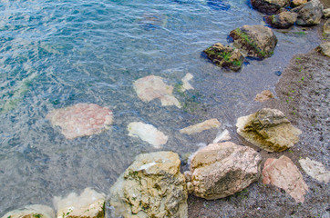 Seascape, bay of wild beach, rocky coast