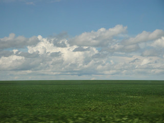 Landscape green field and blue sky clouds   