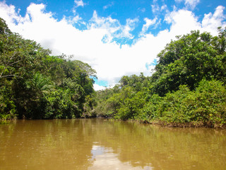 Fototapeta premium River in Bonito, Mato Grosso do Sul, Brazil 