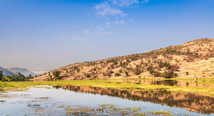 Fototapeta na wymiar National Park in Ranthambore, Rajasthan, India.