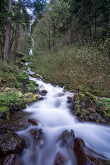 Long-Exposure of a Gentle Stream in the Forest