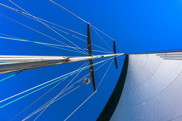 Fototapeta premium Sail