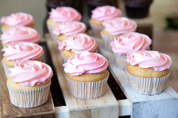 Large beautiful pink cupcakes