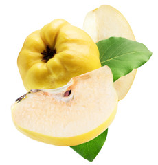 quince with slices isolated on a white background