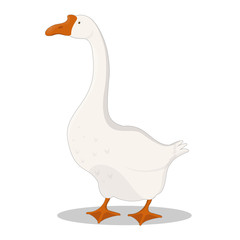 goose, vector illustration, cartoon style, isolated on white background