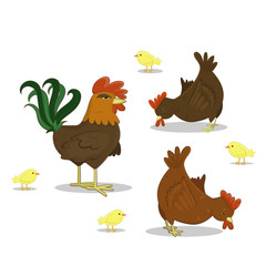 Vector cock, hen, chickens on white background. Farm poultry chicken.