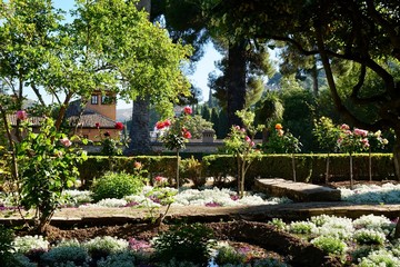 Fototapeta premium ヘネラリフェ庭園