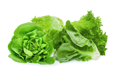fresh baby cos, frillice, iceberg and butter lettuce isolated on white background