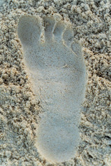 Foot print in the sand