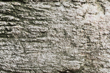 Crack wooden background.