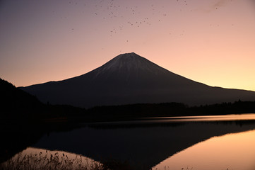Mt.Fuji Lake Tanukiko of the morning