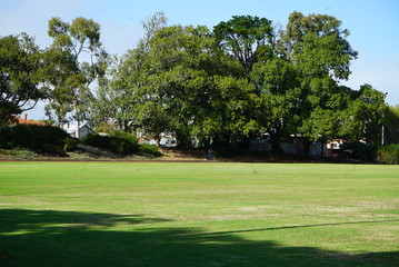 an empty green park with a soccer field