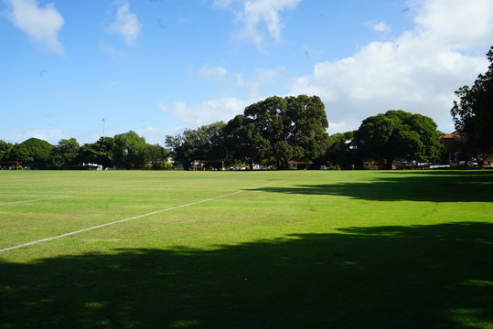 an empty green park with a soccer field