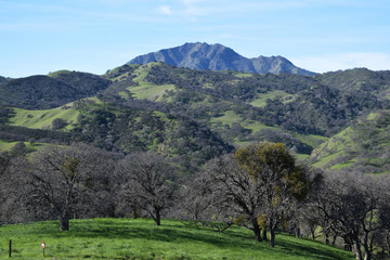 Mountain in California