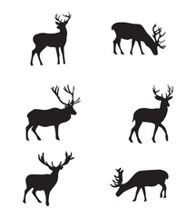 Fototapeta premium Isolated deers on the white background. Deers silhouettes. Vector EPS 10.