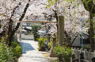 高津公園