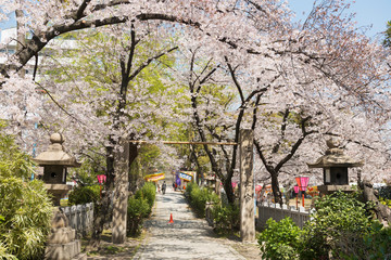 高津公園