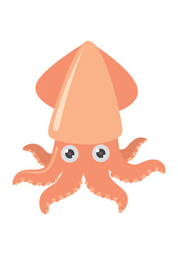 cartoon squid on white background, vector