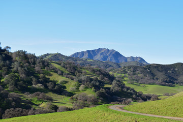 California Countryside