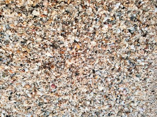 pebbles on the beach