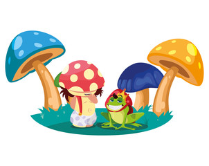 toad prince and fungu elf in garden