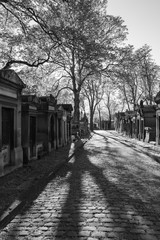 Shadows in P&egrave;re Lachaise